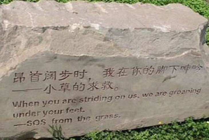 Funny foreign language signs, translations fails, rock on grass with words engraved saying, When you are striding on us, we are groaning under your feet - SOS from the grass