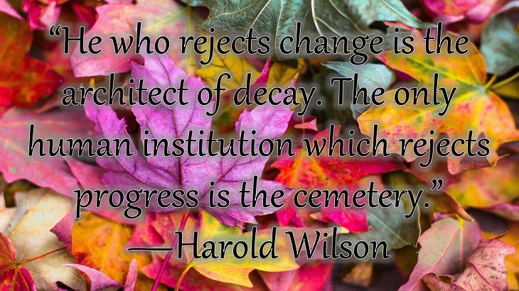Changes on embracing and coping with change, loss and difficulty, “He who rejects change is the architect of decay. The only human institution which rejects progress is the cemetery.”  —Harold Wilson 