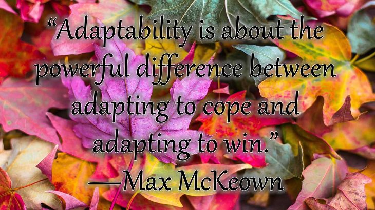 Changes on embracing and coping with change, loss and difficulty, “Adaptability is about the powerful difference between adapting to cope and adapting to win.”  —Max McKeown