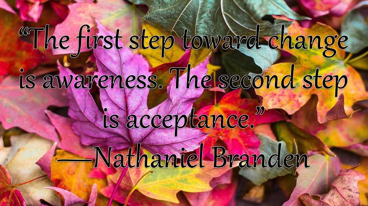 Changes on embracing and coping with change, loss and difficulty, “The first step toward change is awareness. The second step is acceptance.”  —Nathaniel Branden 