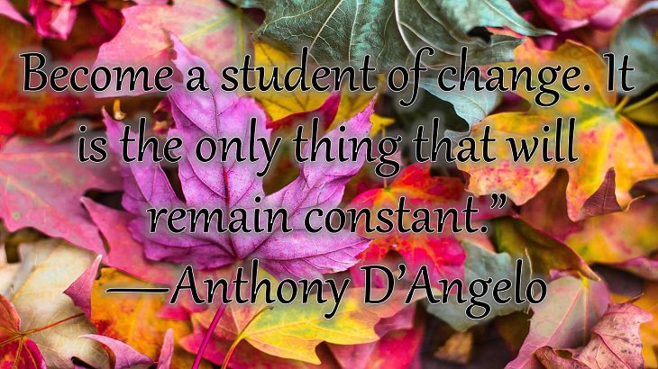 Changes on embracing and coping with change, loss and difficulty, Become a student of change. It is the only thing that will remain constant.”  —Anthony D’Angelo