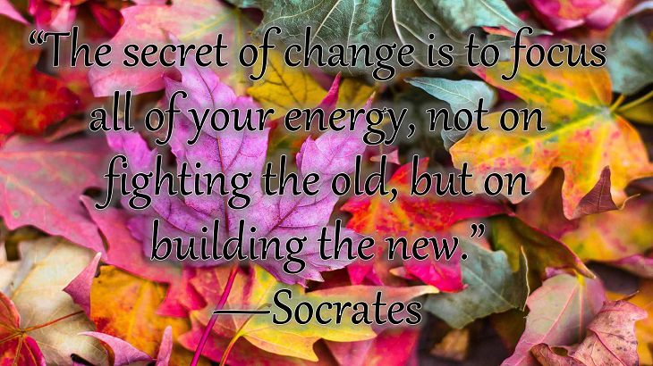 Changes on embracing and coping with change, loss and difficulty, “The secret of change is to focus all of your energy, not on fighting the old, but on building the new.”  —Socrates
