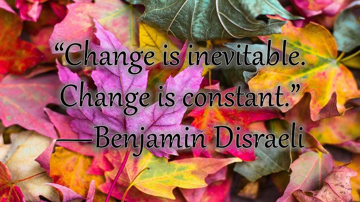 Changes on embracing and coping with change, loss and difficulty, “Change is inevitable. Change is constant.”  —Benjamin Disraeli