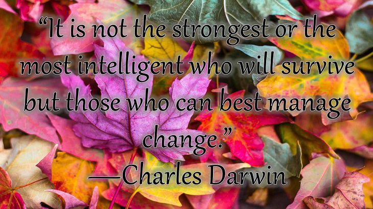Changes on embracing and coping with change, loss and difficulty, “It is not the strongest or the most intelligent who will survive but those who can best manage change.”  —Charles Darwin