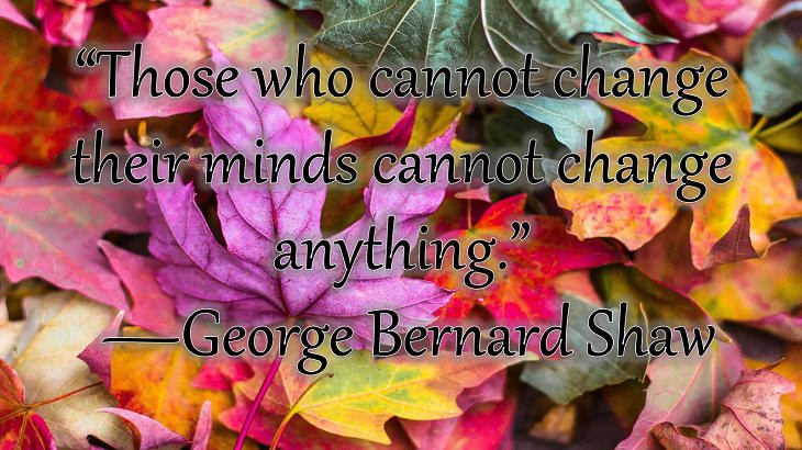 Changes on embracing and coping with change, loss and difficulty, “Those who cannot change their minds cannot change anything.”   —George Bernard Shaw