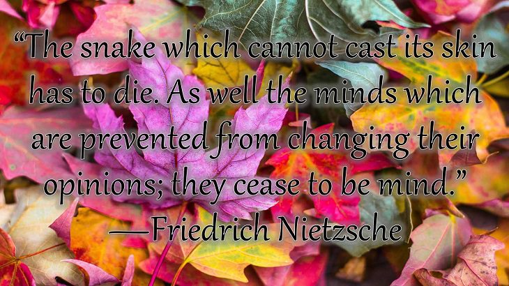 Changes on embracing and coping with change, loss and difficulty, “The snake which cannot cast its skin has to die. As well the minds which are prevented from changing their opinions; they cease to be mind.”  —Friedrich Nietzsche