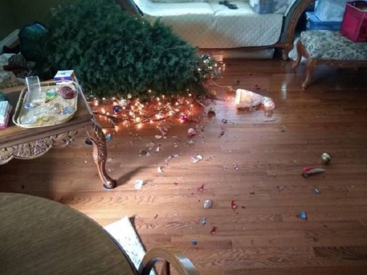 Hilariously bad days for people caught on camera, fallen christmas tree