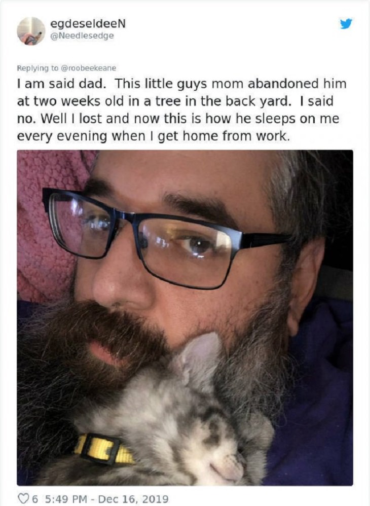 People who swore they didn't want pets and changed their mind