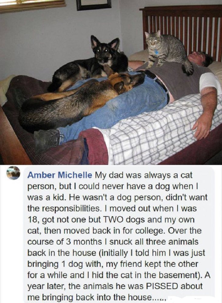 People who swore they didn't want pets and changed their mind