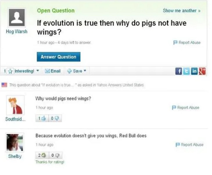 Dumb, stupid and ridiculous questions posted online and asked on the internet, if there's evolution, why don't pigs have wings