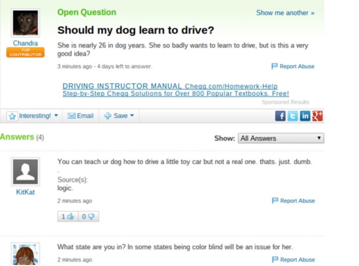 Dumb, stupid and ridiculous questions posted online and asked on the internet, should my dog learn to drive