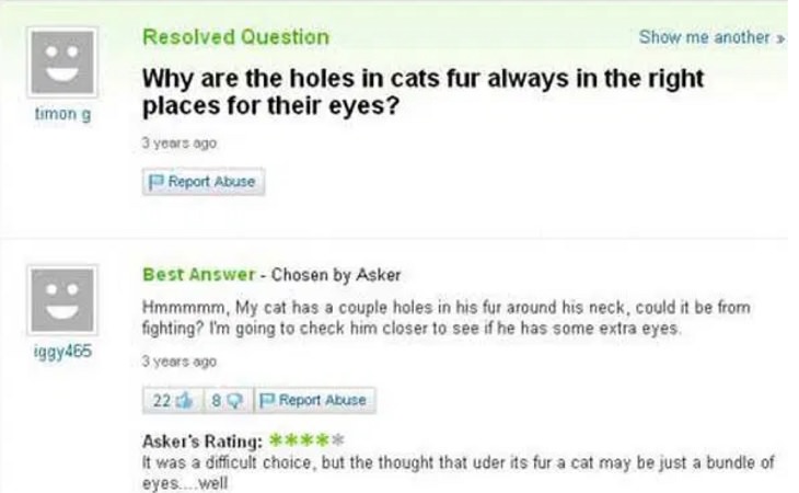 Dumb, stupid and ridiculous questions posted online and asked on the internet, how do cats fur have holes exactly where the eyes are