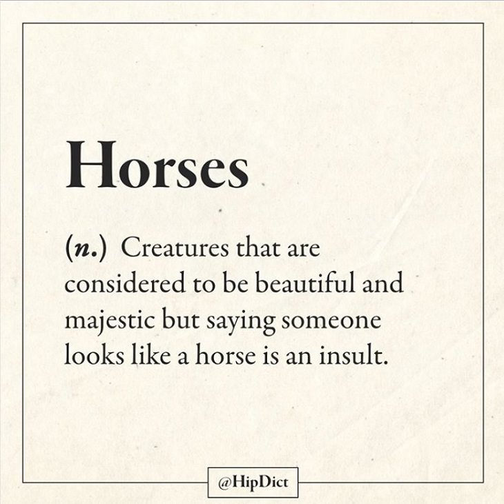 Hilarious and funny alternate definitions to words and common phrases in instagram dictionary, horse