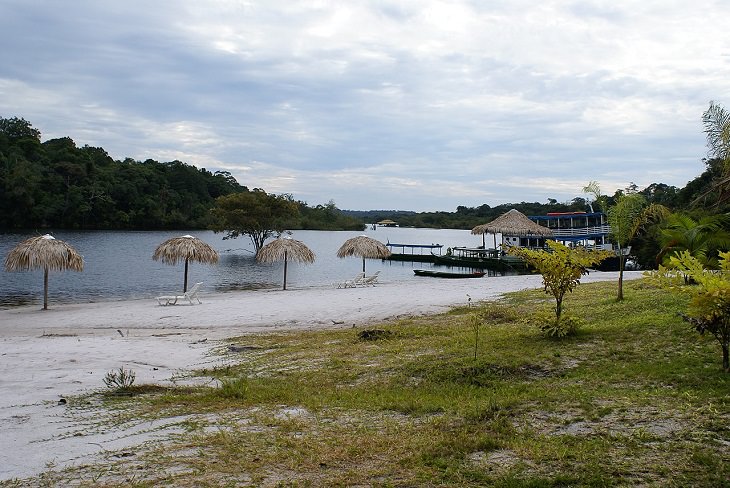 Photographs of the view and flora and fauna in Amazon Rainforest, Manaus Environmental Preservation Area