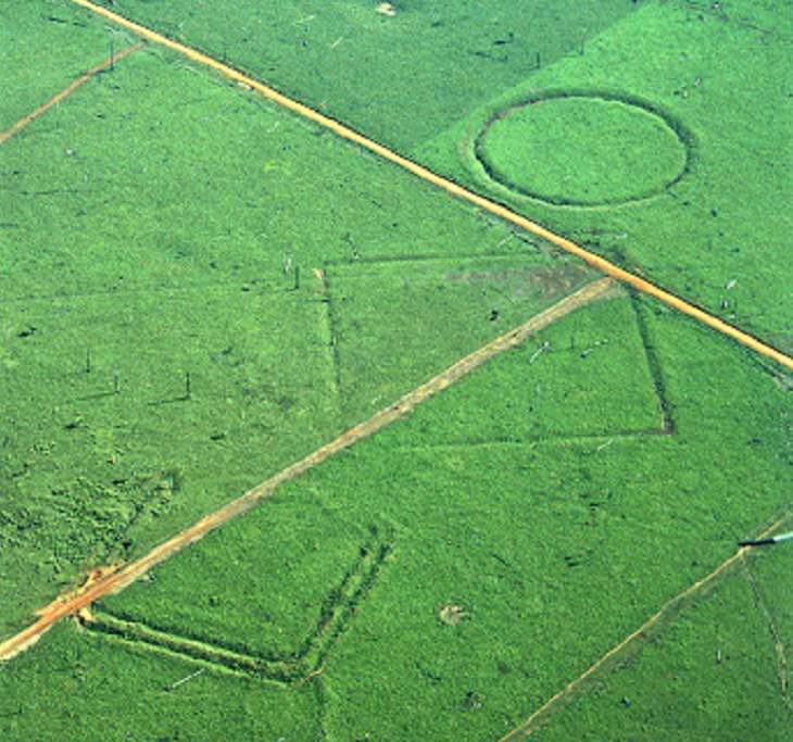 Photographs of the view and flora and fauna in Amazon Rainforest, Geoglyphs on deforested land in the Amazon rainforest, Acre