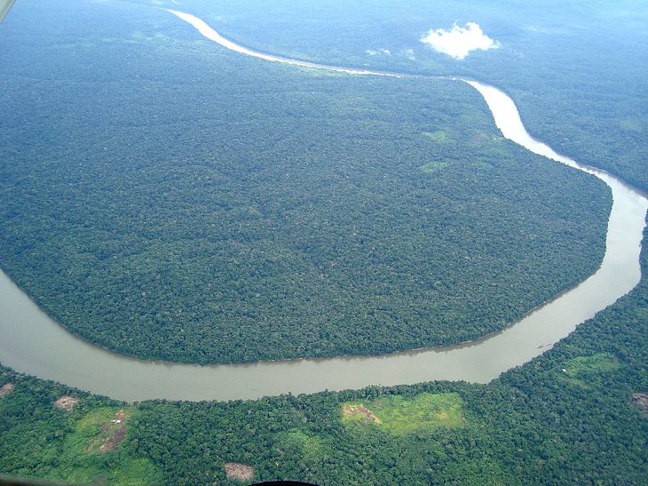 Photographs of the view and flora and fauna in Amazon Rainforest, Aerial view of the Amazon rainforest