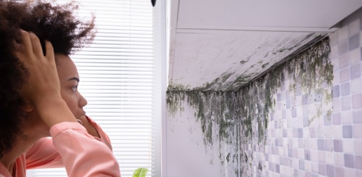 removing mold discovering moldy infestation