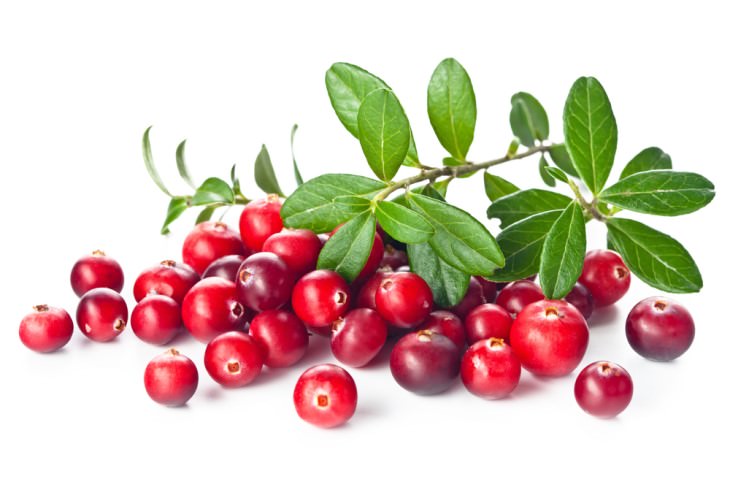 cranberries