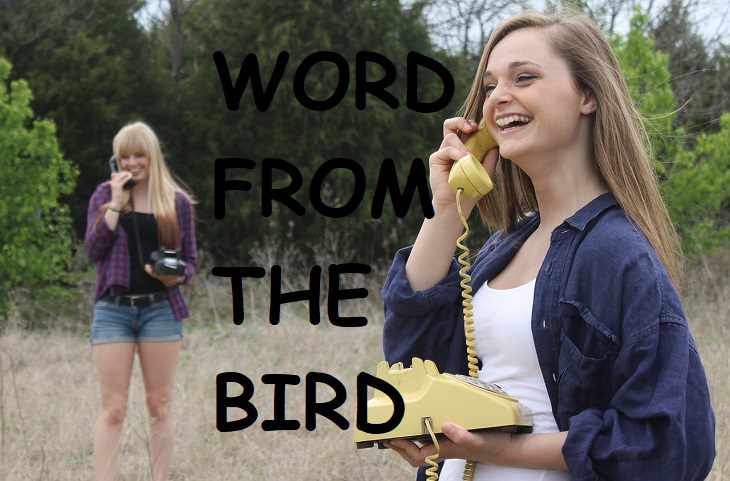 Word from the Bird, Slangs, Phrases, Expressions, Quotes, History, 50's, Past, Speech, Words, Fun