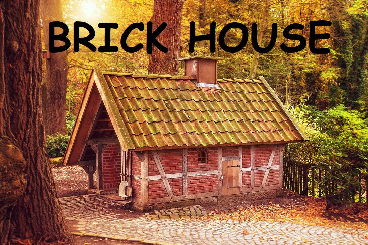 Brickhouse, Slangs, Phrases, Expressions, Quotes, History, 50's, Past, Speech, Words, Fun 