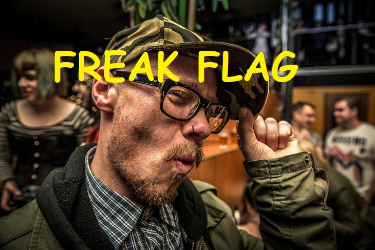 Freak Flag, Slangs, Phrases, Expressions, Quotes, History, 50's, Past, Speech, Words, Fun