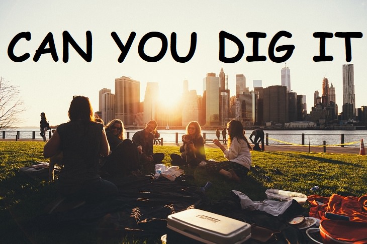 Can you dig it, Slangs, Phrases, Expressions, Quotes, History, 50's, Past, Speech, Words, Fun