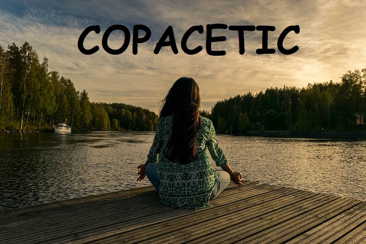 Copacetic, Slangs, Phrases, Expressions, Quotes, History, 50's, Past, Speech, Words, Fun