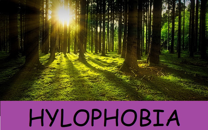 19. Hylophobia-El miedo de los árboles.