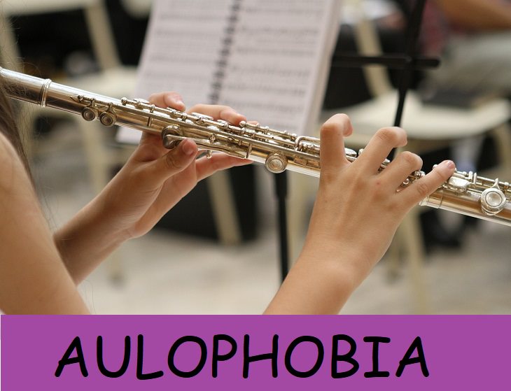 32. Aulofobia-El miedo a las flautas.