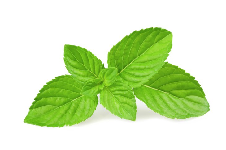 natural remedies for bad breath: mint