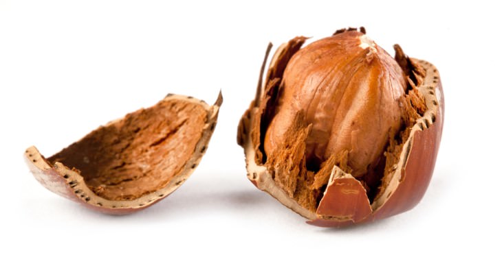 natural remedies for bad breath: hazelnuts
