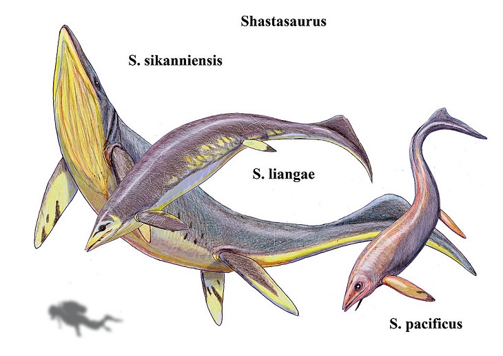 nature, science, history, dinosaur, biggest, largest, Prehistoric, extinct, reptiles, record-holding, heaviest