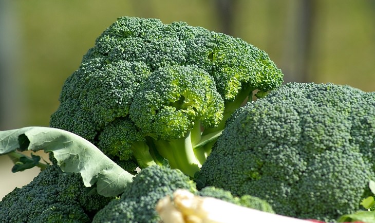 Broccoli, health, family and parenting, fruits and vegetables, nutrients, minerals, vitamins, calcium,