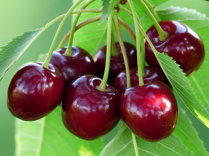 Cherries, health, family and parenting, fruits and vegetables, nutrients, minerals, vitamins, calcium,