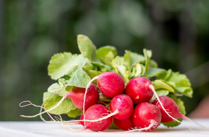 Radishes, health, family and parenting, fruits and vegetables, nutrients, minerals, vitamins, calcium,
