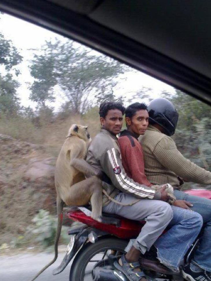 meanwhile, in India