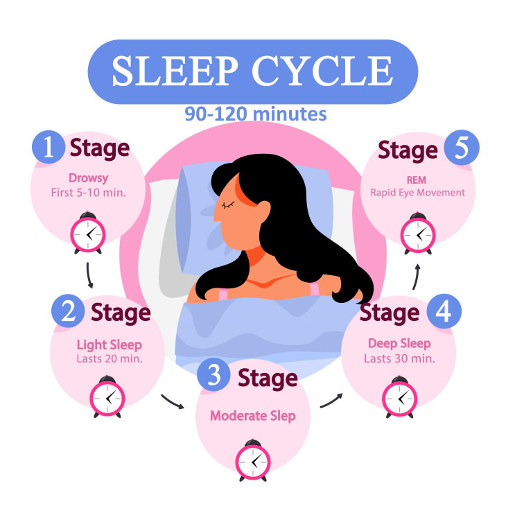 deep sleep The 4 Stages of Sleep