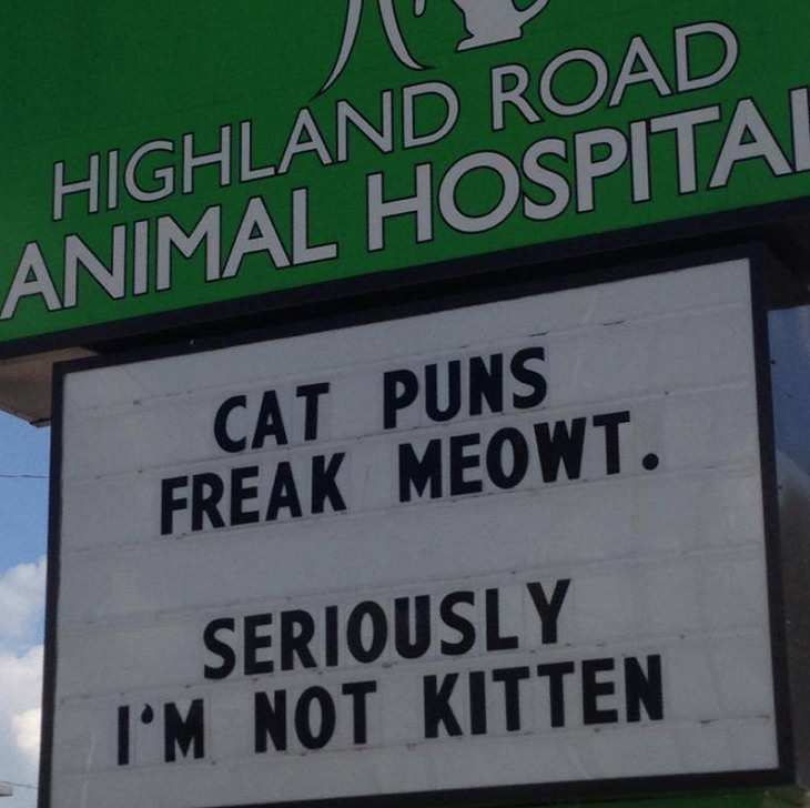 funny, cute overload, cats, jokes, kittens, veterinarian, clinic, hospital, animal, nature, sign, puns,