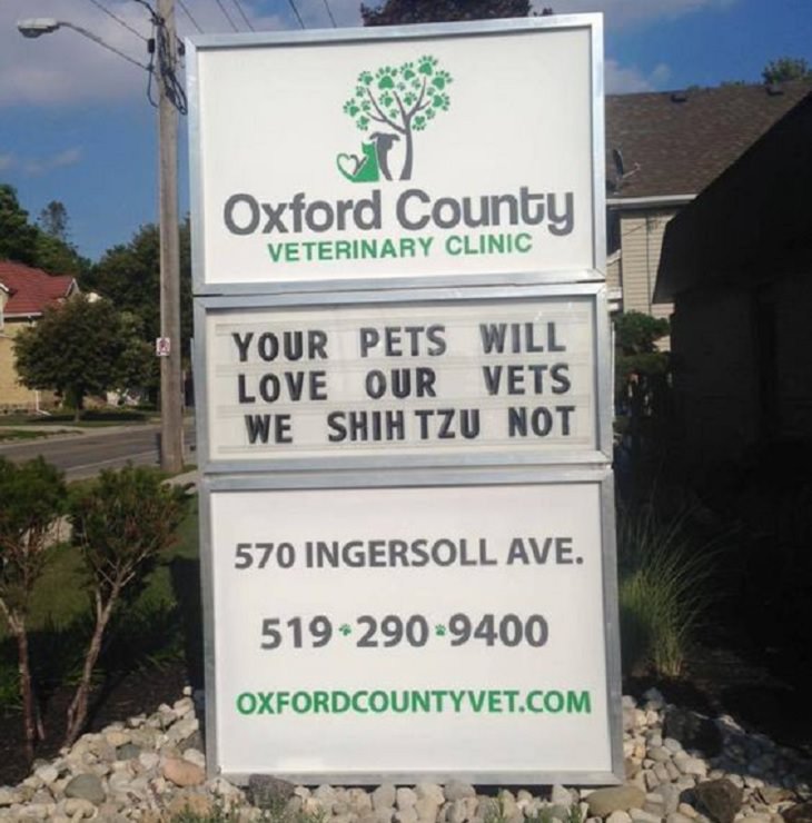 Hysterically Funny Signs From Vets
