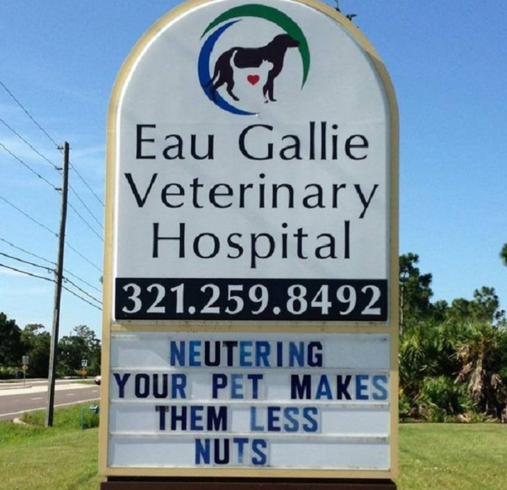 funny, dogs, cats, nature, jokes, veterinarian, animal hospital, vet clinics, signs, boards, posters, puns