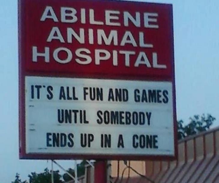 funny, dogs, cats, nature, jokes, veterinarian, animal hospital, vet clinics, signs, boards, posters, puns