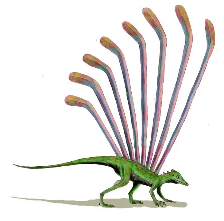 Crazy, odd, weird and strange species that are now extinct, Longisquama