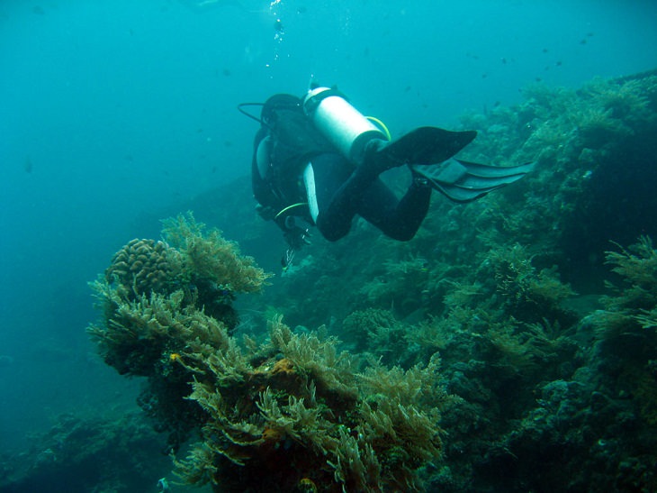 Scuba Diving USAT Liberty, Bali, Indonesia