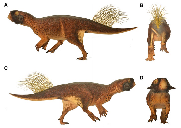 Cutest Dinosaurs Psittacosaurus