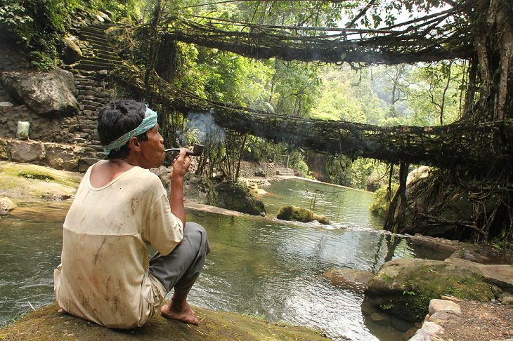 Majestic Beautiful Sights of the Northeast Indian State, Meghalaya, one of the seven sisters states, A Man sits by the Double-Decker Living root bridge in Nongriat village