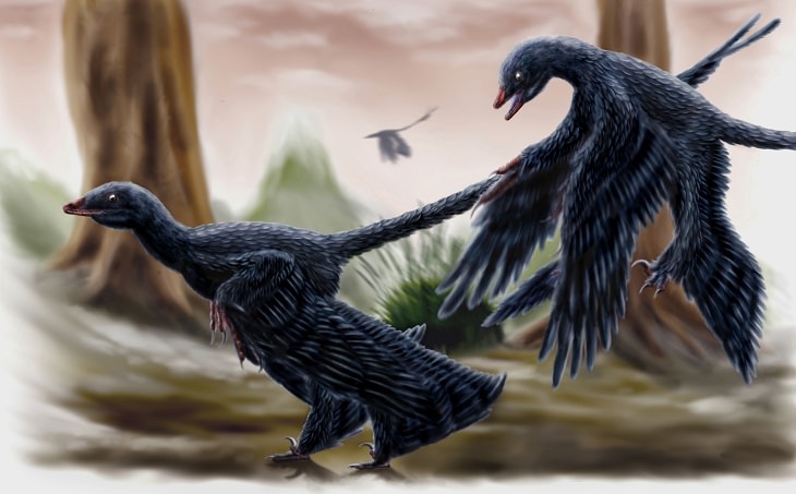 Cutest Dinosaurs Microraptor  