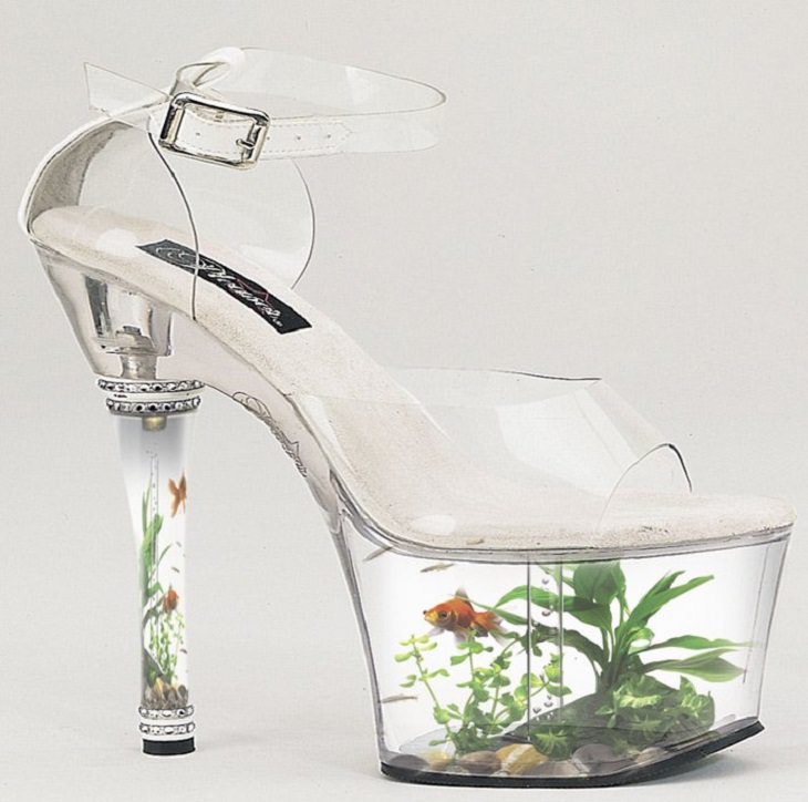 Creative and Unusual Aquariums with an interesting design, aquarium built into high heeled platform shoes