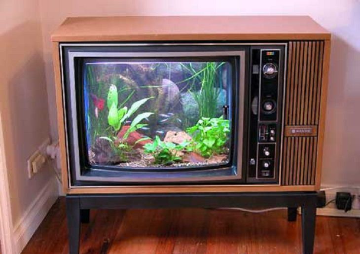 Creative and Unusual Aquariums with an interesting design, TV fish tank