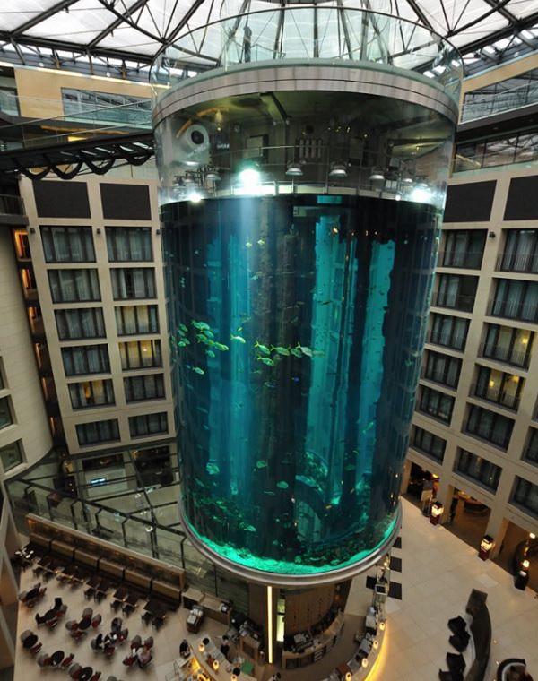 Creative and Unusual Aquariums with an interesting design, an elevator shaft turned into an aquarium