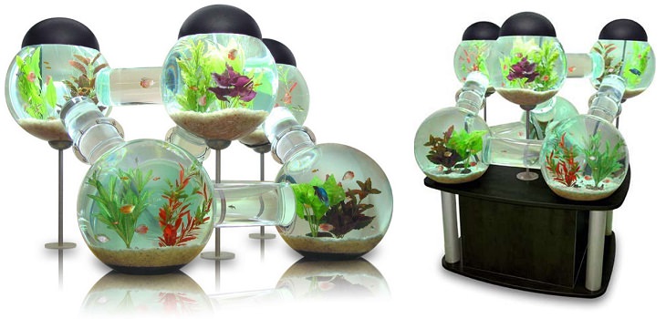Creative and Unusual Aquariums with an interesting design, Labyrinth aquarium